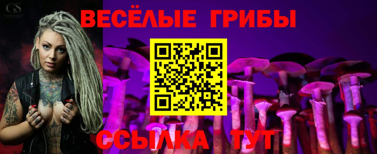 Псилоцибиновые грибы MAGIC MUSHROOMS Ижевск